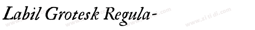 Labil Grotesk Regula字体转换
